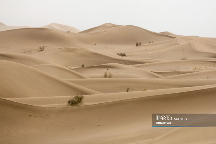Yazd's Enchanting Rig-e Zarin Desert, Where Beauty Meets Serenity