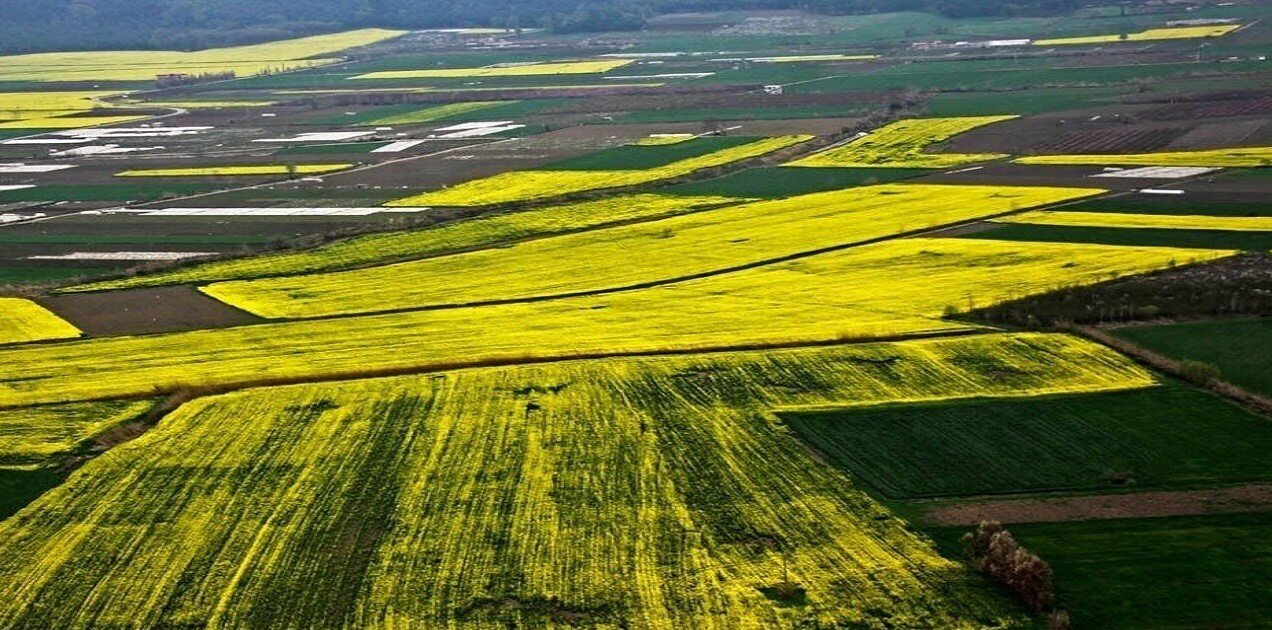 حد و مرز نیمی از زمین‌های کشاورزی کشور مشخص شد