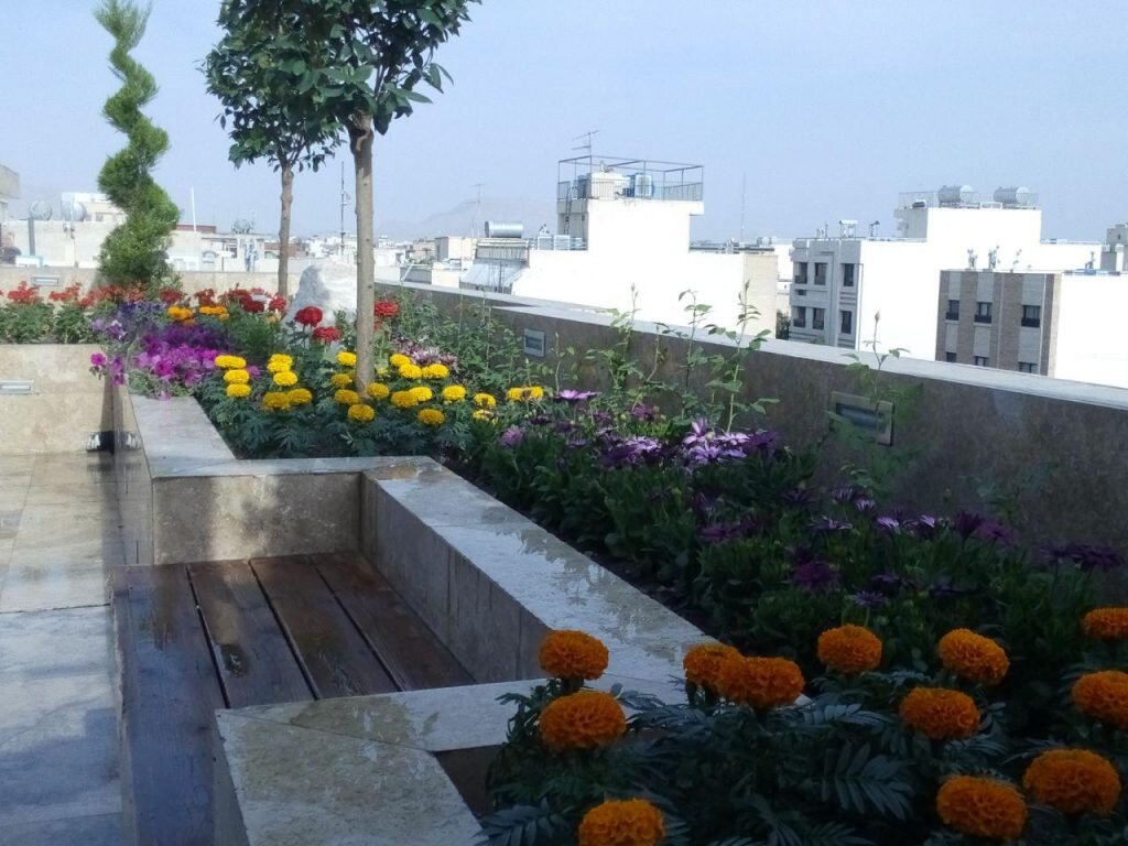 آیا بام سبز در کاهش آلودگی هوا تاثیرگذار است؟