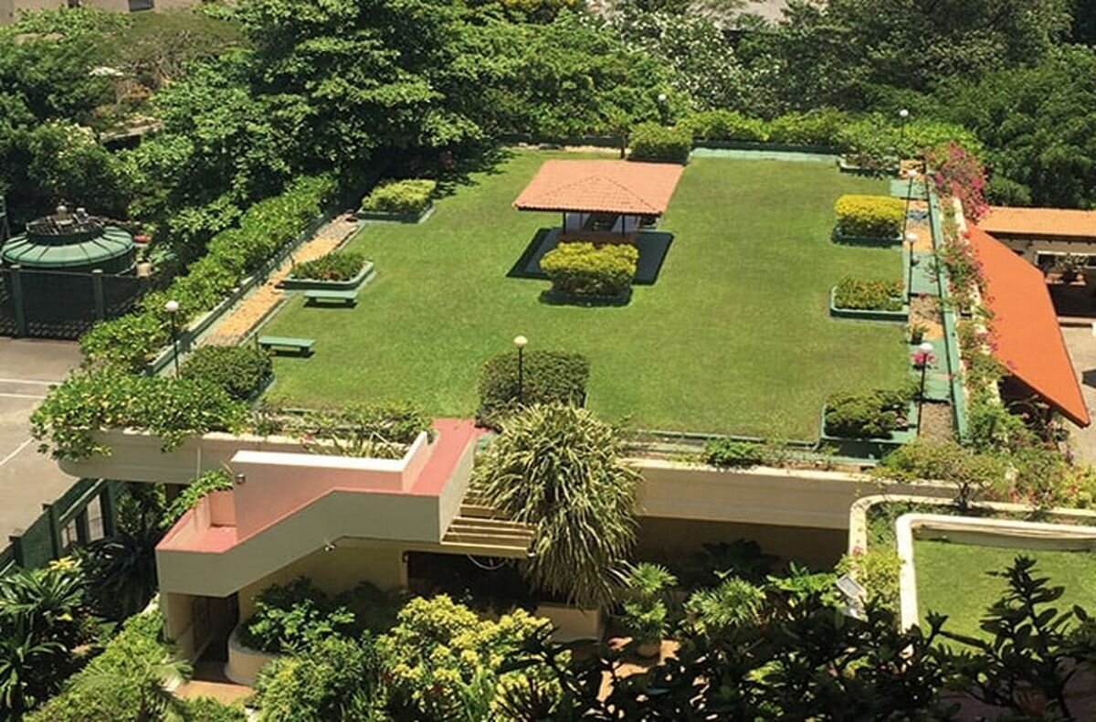 زیباترین بامهای سبز جهان در سال ۲۰۲۳