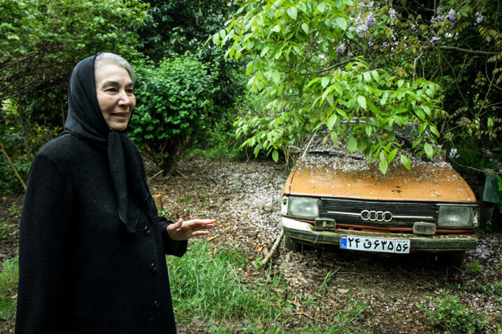 پروانه معصومی امروز در تهران تشییع و تدفین می‌شود