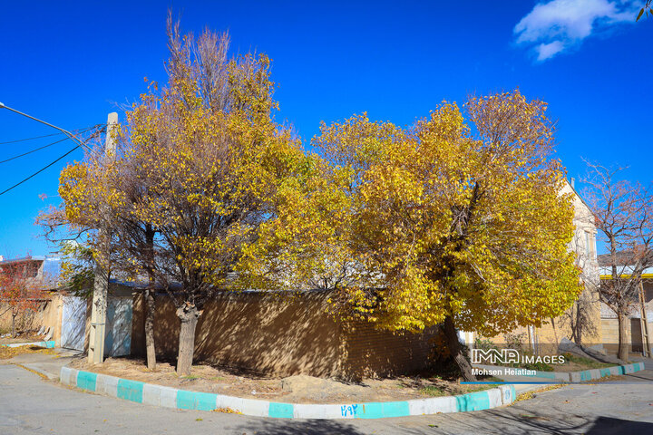 Majestic Symphony of Autumn's Splendor in Iran's Tourism City of Khansar