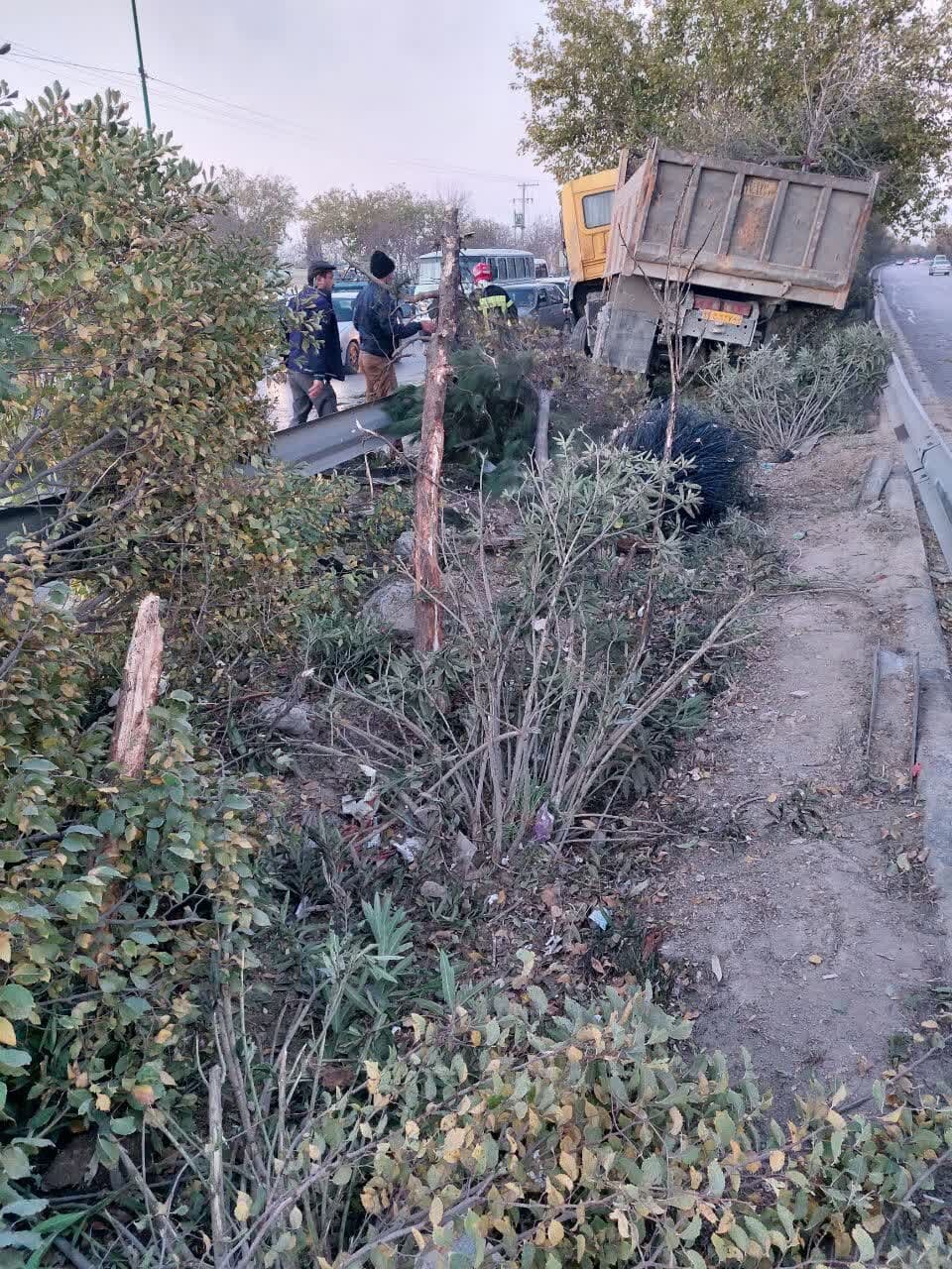 برخورد کامیون با ۹ درخت حاشیه بزرگراه شهید اردستانی/ حادثه تلفات جانی نداشت