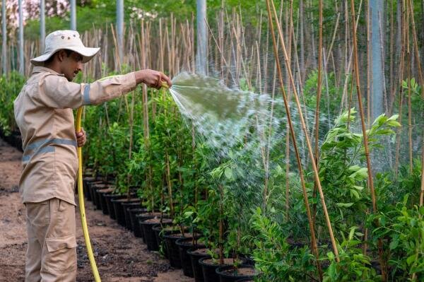 توسعه خانههای مقرونبهصرفه پایدار در ونکوور/ خودکار شدن ۲۵ درصدی حملونقل در دبی