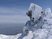 شیر خفته‌ای در الوند