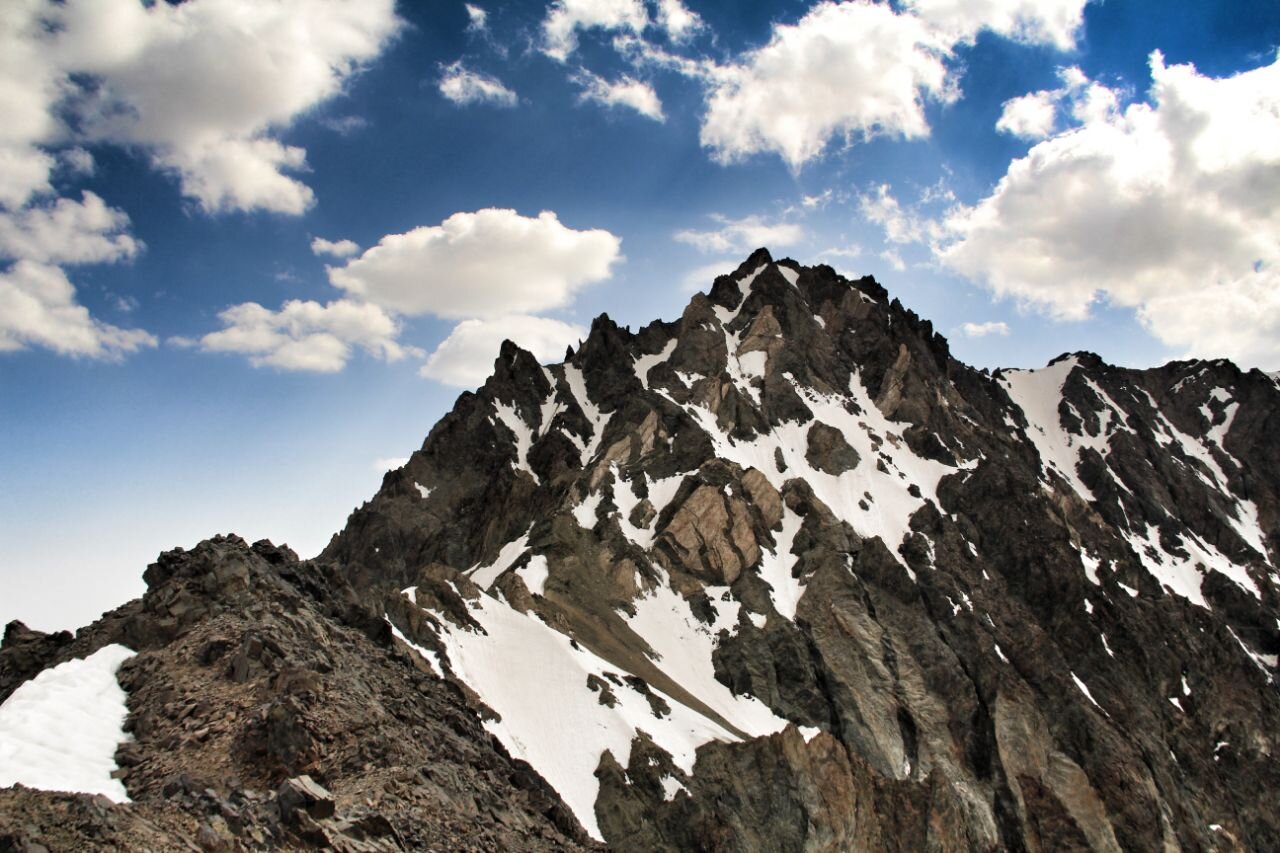 شیر خفته در کوههای الوند