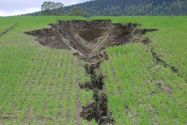 فرسایش خاک در استان کردستان پنج برابر میانگین کشوری است