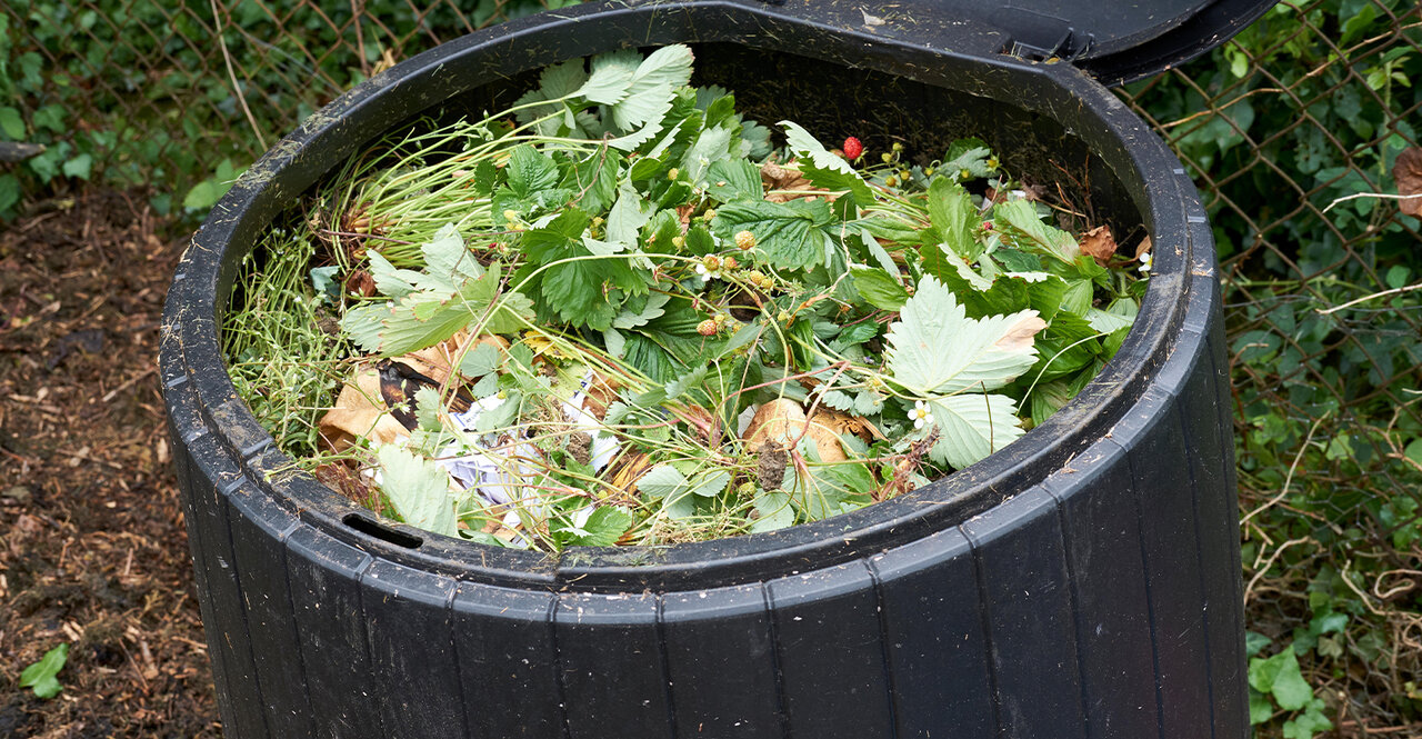 پایبندی تگزاس به فرهنگ بدون زباله