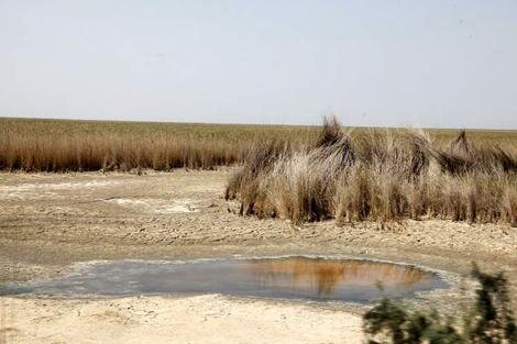 ۱۷۳۰۰۰ هکتار کانون مولد گردوغبار در چهارمحال‌وبختیاری وجود دارد