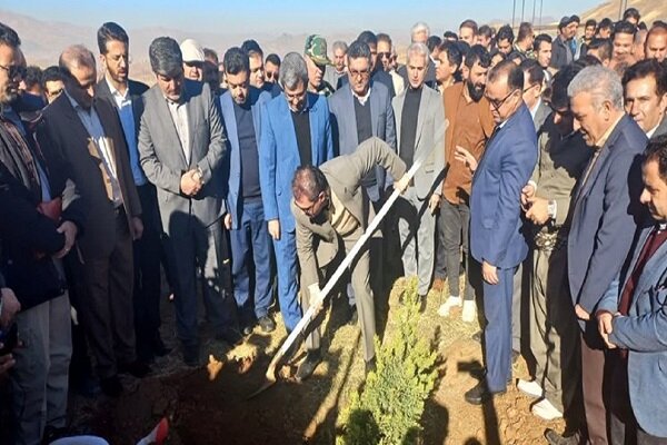 آغاز کاشت ۱۲ میلیون اصله نهال در کردستان