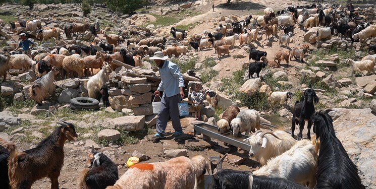 فارس؛ رنگینکمان عشایری کشور