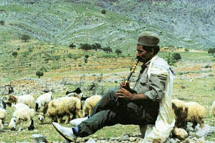 فارس؛ رنگینکمان عشایری کشور