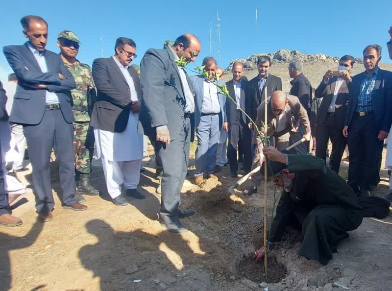 کاشت ۱۱ هزار اصله نهال در سیستان و بلوچستان