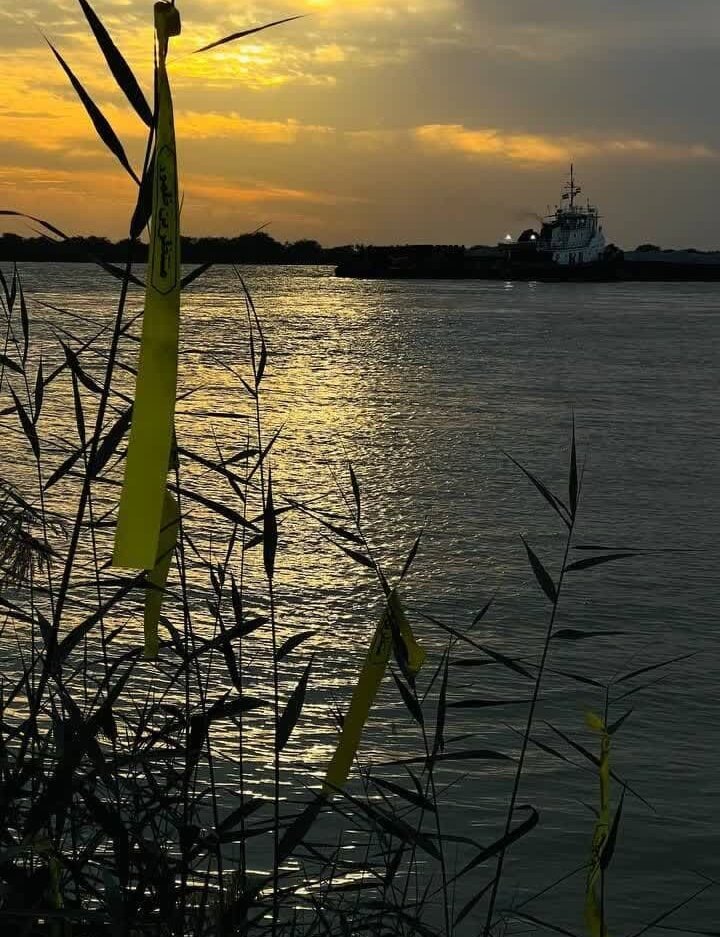 تو در جبهه پاک شهدا قدم گذاشتهای