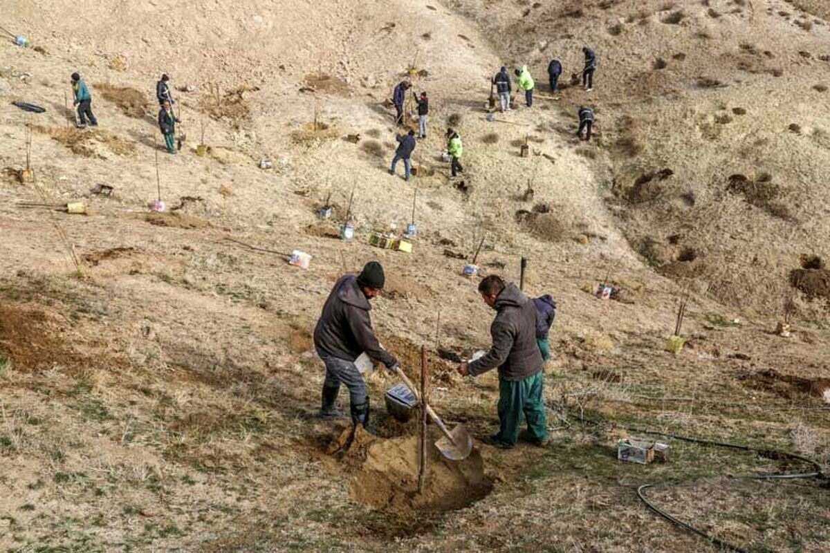 «حلقهدره» آرام میگیرد