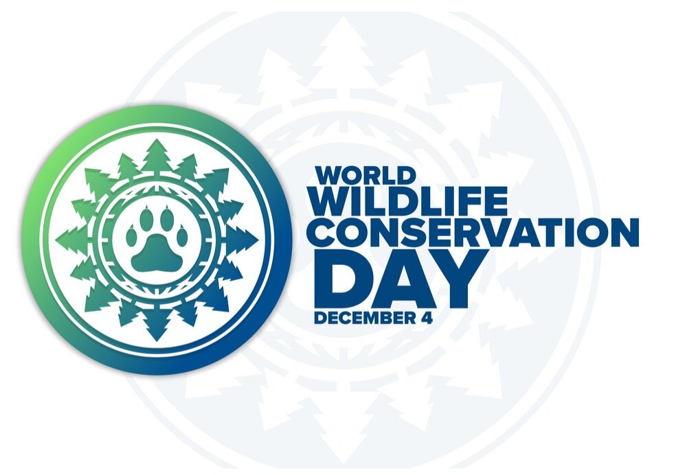 روز جهانی حفاظت از حیات وحش ۲۰۲۳ + اهمیت و پوستر