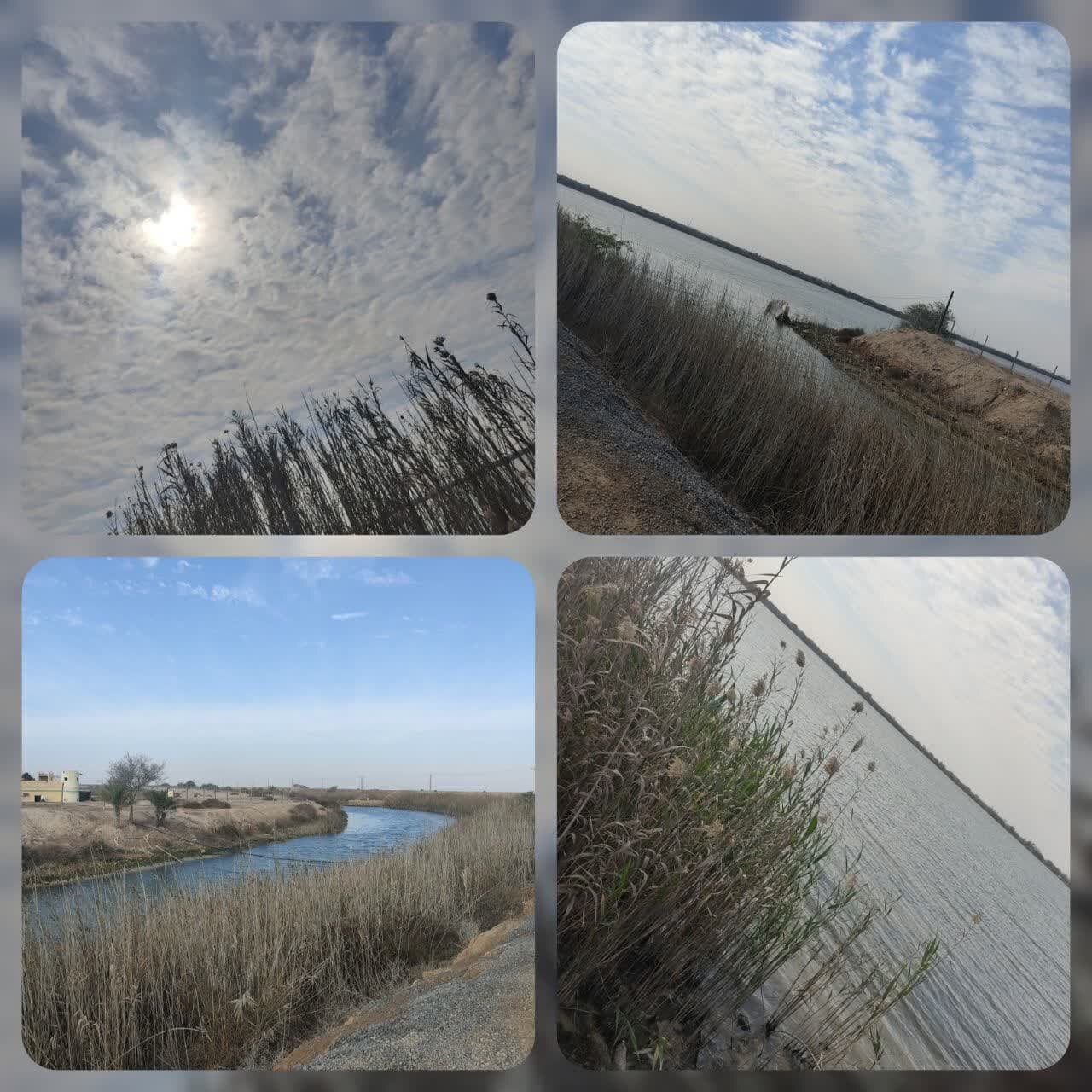 شلمچه و ما ادراک شلمچه!