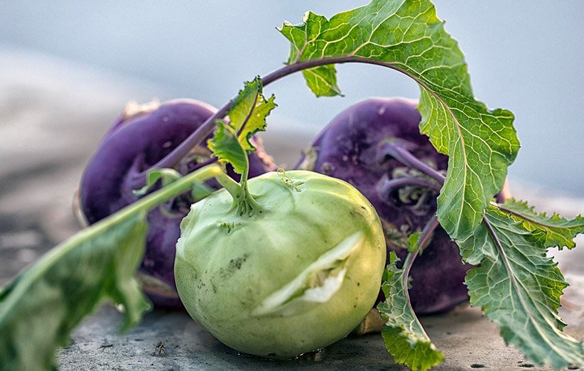 طرز تهیه ماش و قمری اصفهانی + آموزش، خواص، طبع و سبزی غذای سنتی اصفهان