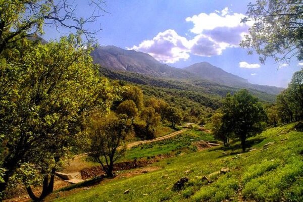 انعقاد تفاهم‌نامه اجرای بزرگترین پارک جنگلی و ظرفیت گردشگری مازندران