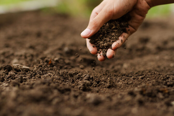 World Soil Day 2020 Highlights the Importance of Soil Conservation and Biodiversity Protection