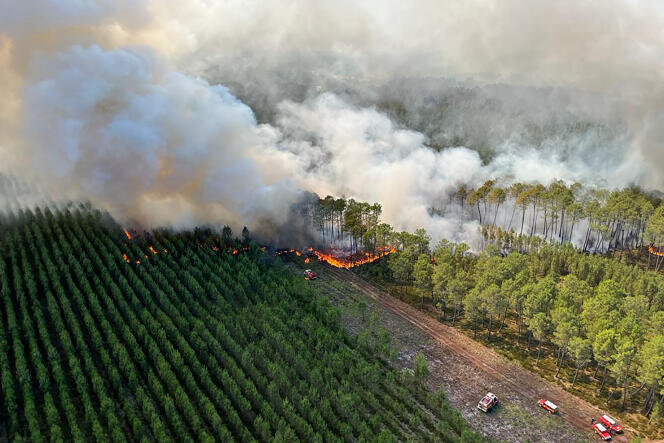 آتش‌سوزی ۶ هکتار از اراضی جنگلی سراوان مهار شد