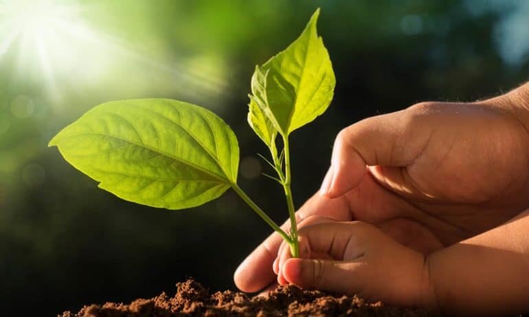 پسابهای صنعتی، زخمی پنهان بر جان طبیعت