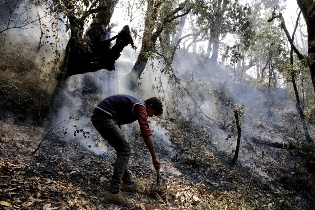 آتش ۴۶ هکتار از اراضی مختلف گچساران را طعمه خود کرد