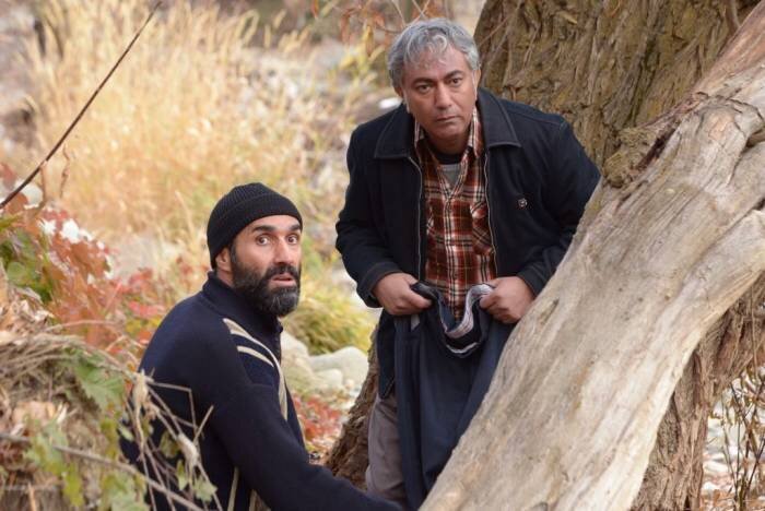 نگاهی به هنر هفتم در سالی که گذشت