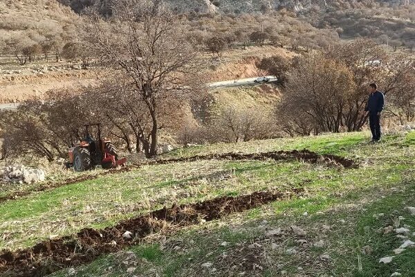 صدور پروانه چرای دام برای تمام مراتع شهرستان گلپایگان