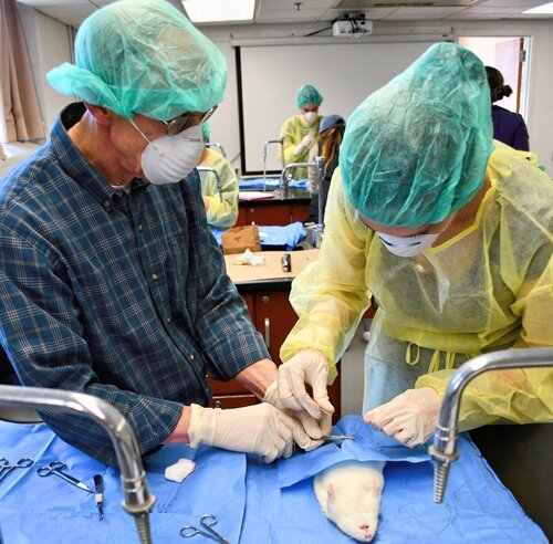 روز جهانی دامپزشکی ۲۰۲۳ + پوستر