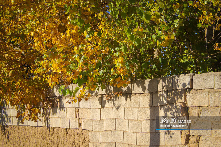 پاییز در کوچه باغ های اصغرآباد