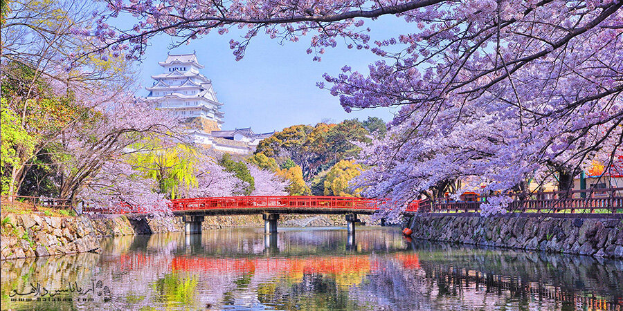 تورهای خارجی خاص ویژه نوروز 1403