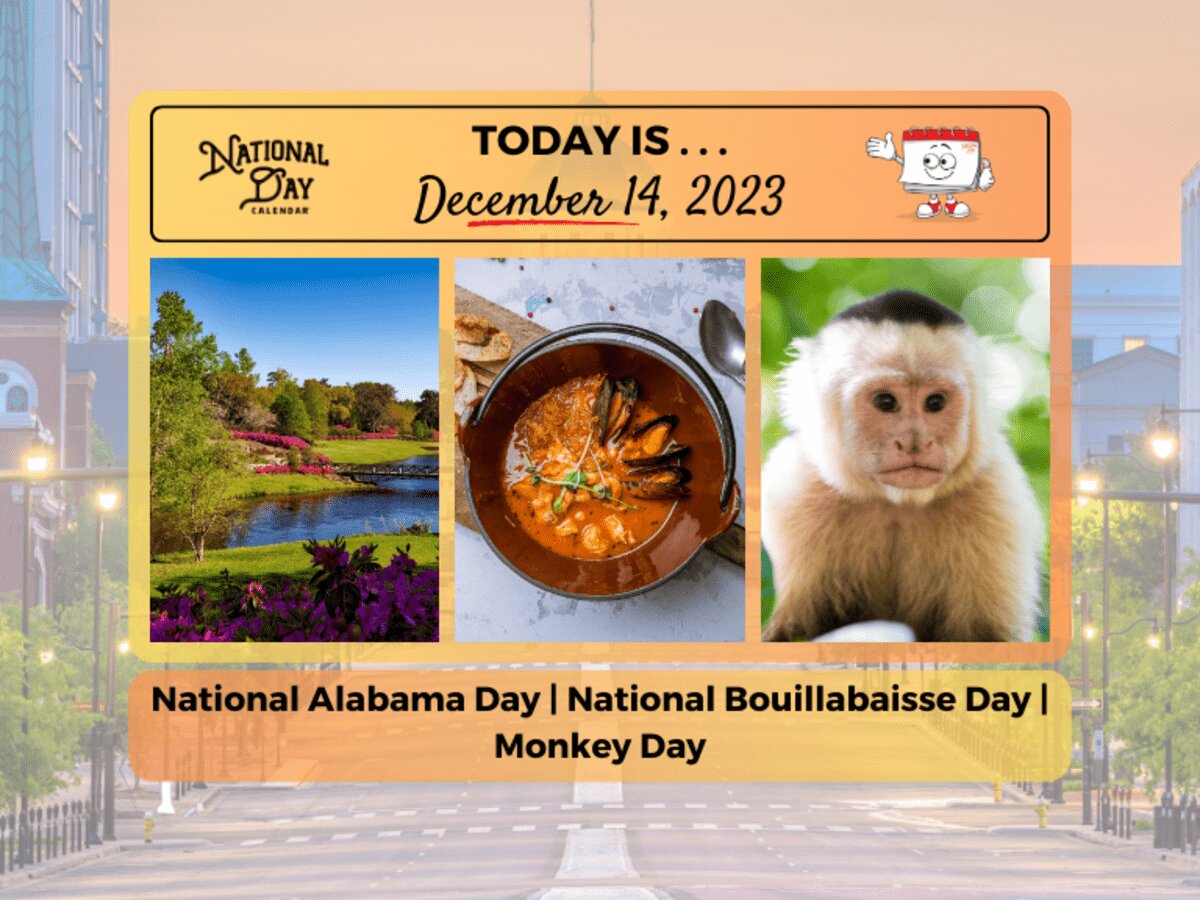 روز جهانی میمون ۲۰۲۳ + شعار و پوستر