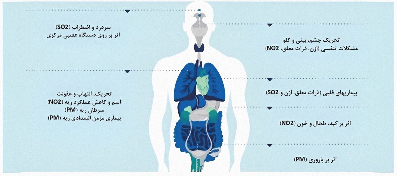 شرکتهای دانشبنیان در تکاپو برای نجات جهان بلعیده شده در دود