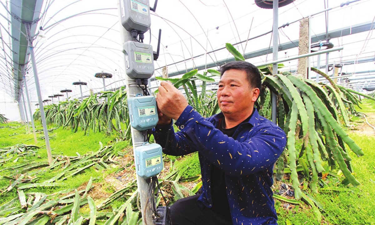 مدرن‌سازی کشاورزی در چین