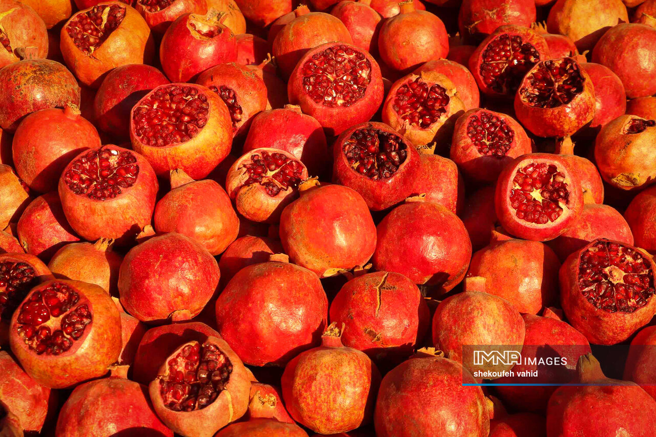 تبریک شب یلدا رسمی / پیامک جدید، متن باستانی و عکس