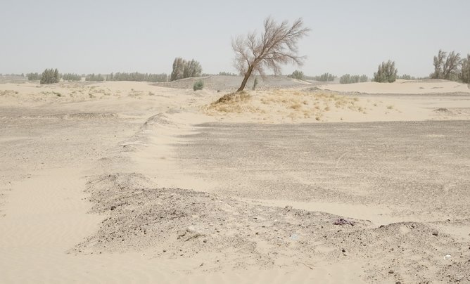 Sustainable Future of Hamoun Wetland Depends on Collaborative Efforts
