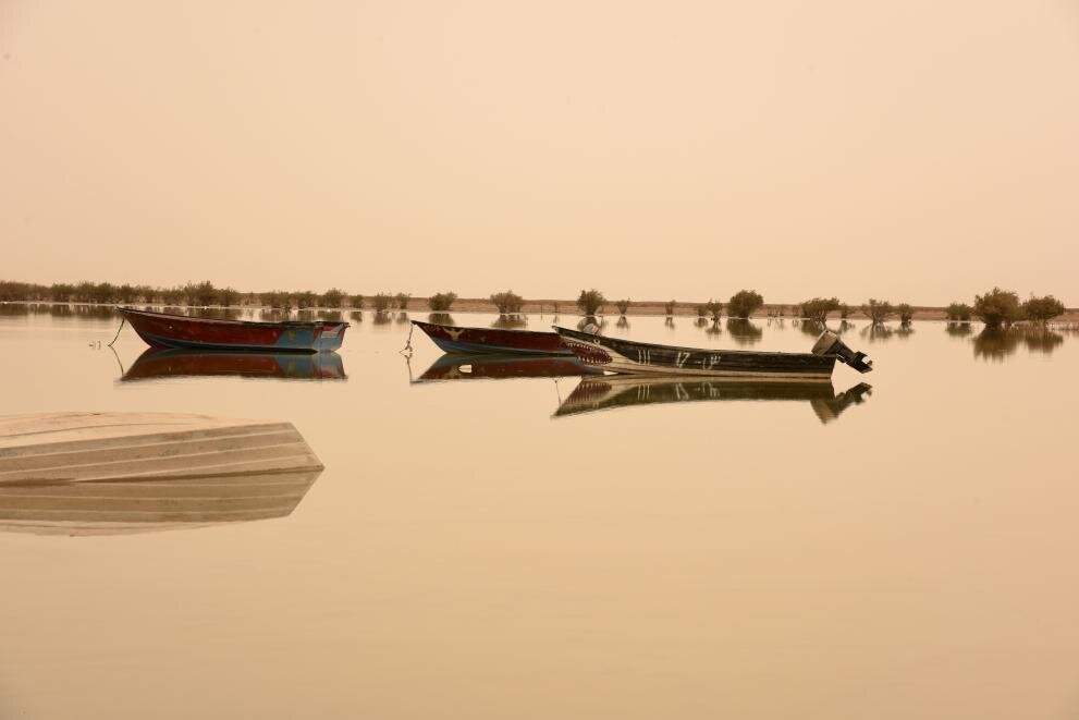Sustainable Future of Hamoun Wetland Depends on Collaborative Efforts