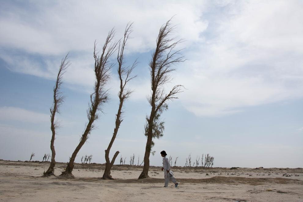 Sustainable Future of Hamoun Wetland Depends on Collaborative Efforts