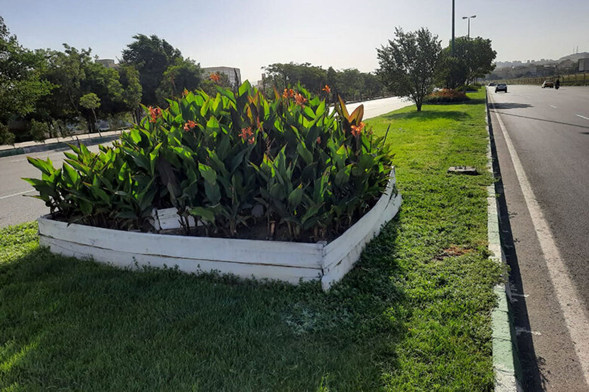 چالش فقر فضای سبز در باغشهر تبریز