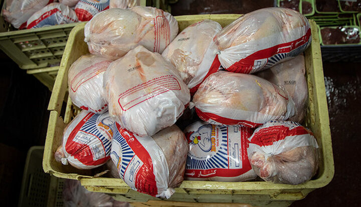 توزیع ۶۵ تن مرغ منجمد در سطح فروشگاه‌های کرمانشاه