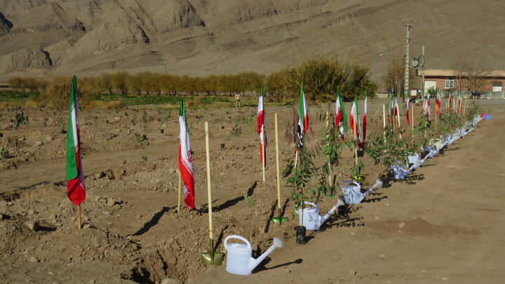 کاشت ۵۶۰۰ اصله درخت و گل در طرح استقبال از بهار قرچک