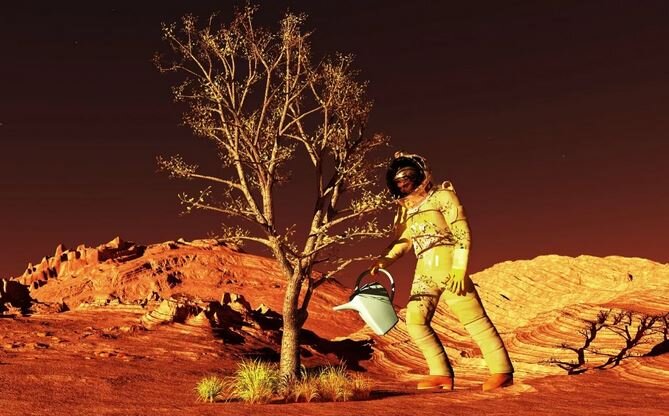 کشاورزی در فضا / کدام سیارات منظومه شمسی قابل کشاورزی است؟