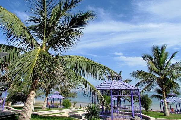 تفریحات شبانه قشم؛ ماجراجویی در شب های اسرارآمیزترین جزیره ایران