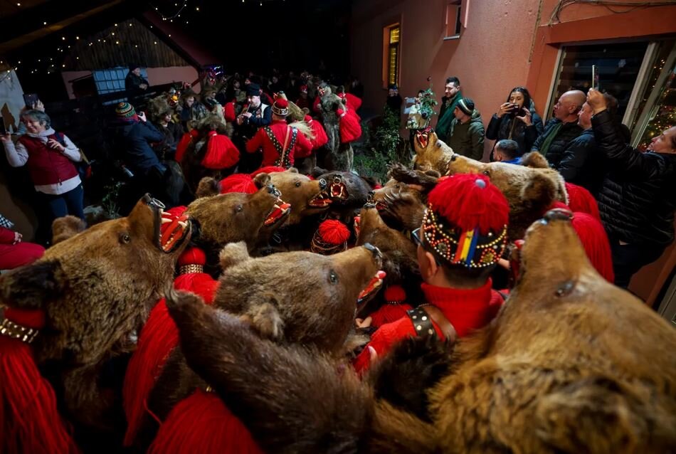 جشنواره تماشایی خرس‌های رقصنده رومانی + عکس