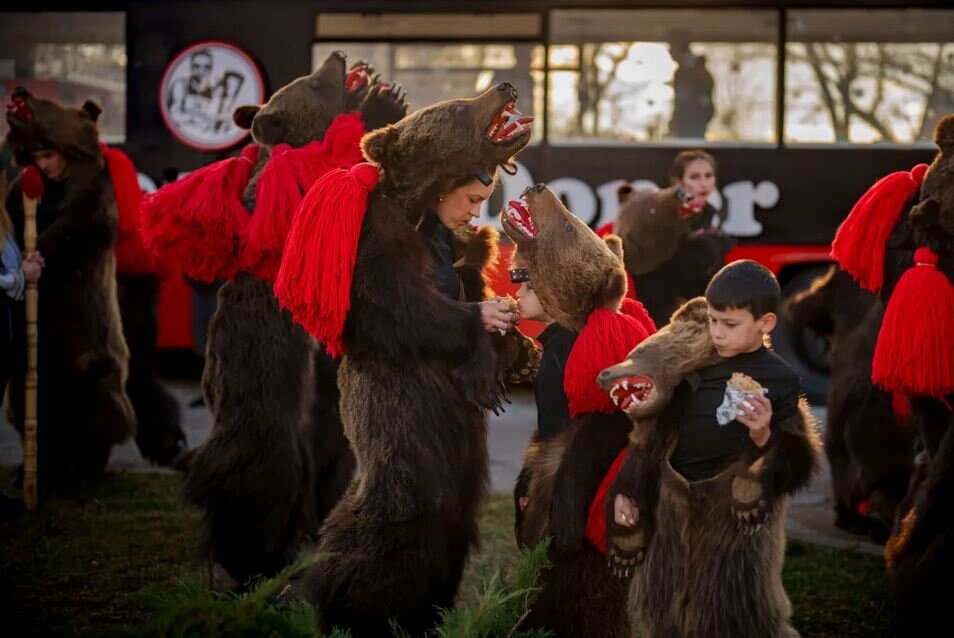جشنواره تماشایی خرس‌های رقصنده رومانی + عکس