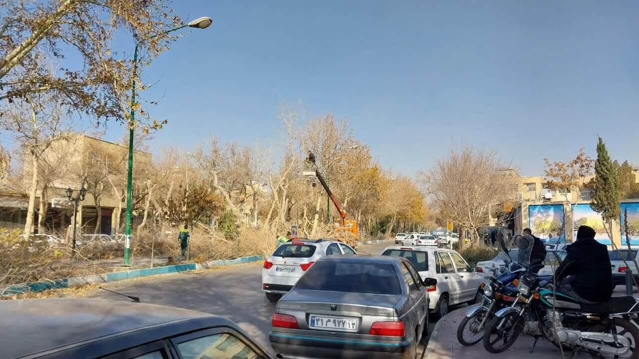 هرس درختان نصفجهان با فعالیت ۵۰۰ باغبان