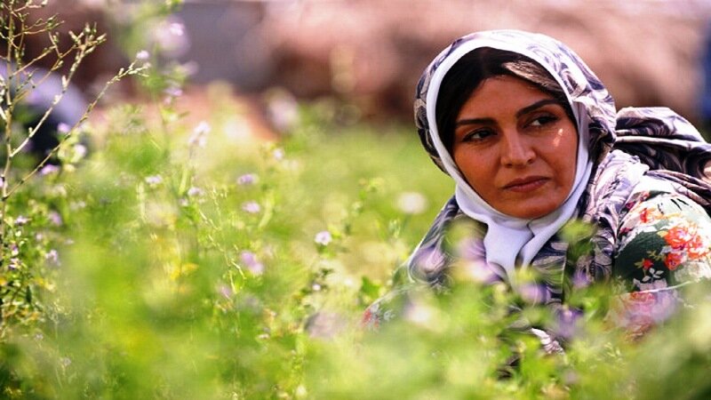 مادرانههایی برای سینما