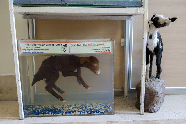 امروز مؤثریم و فردا اثر