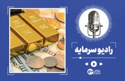 نرخ ارز، طلا و سکه امروز ۱۶ دی + جدول قیمت خودرو در بازار آزاد